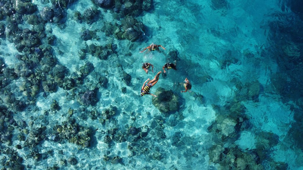 Menyelam di Labuan Bajo: Menjelajahi Keindahan Bawah Laut Komodo